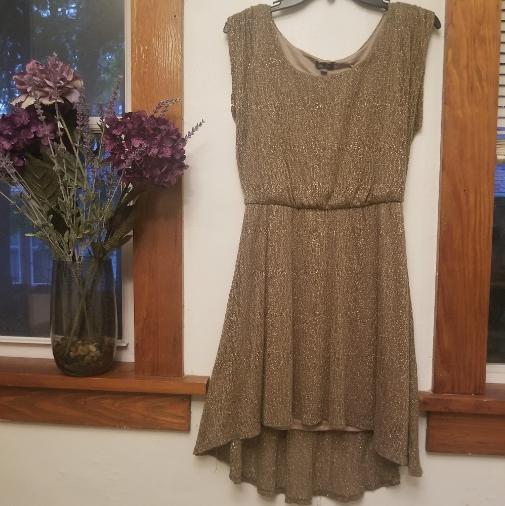 Beautiful Gold Dress - Picture 5 of 7